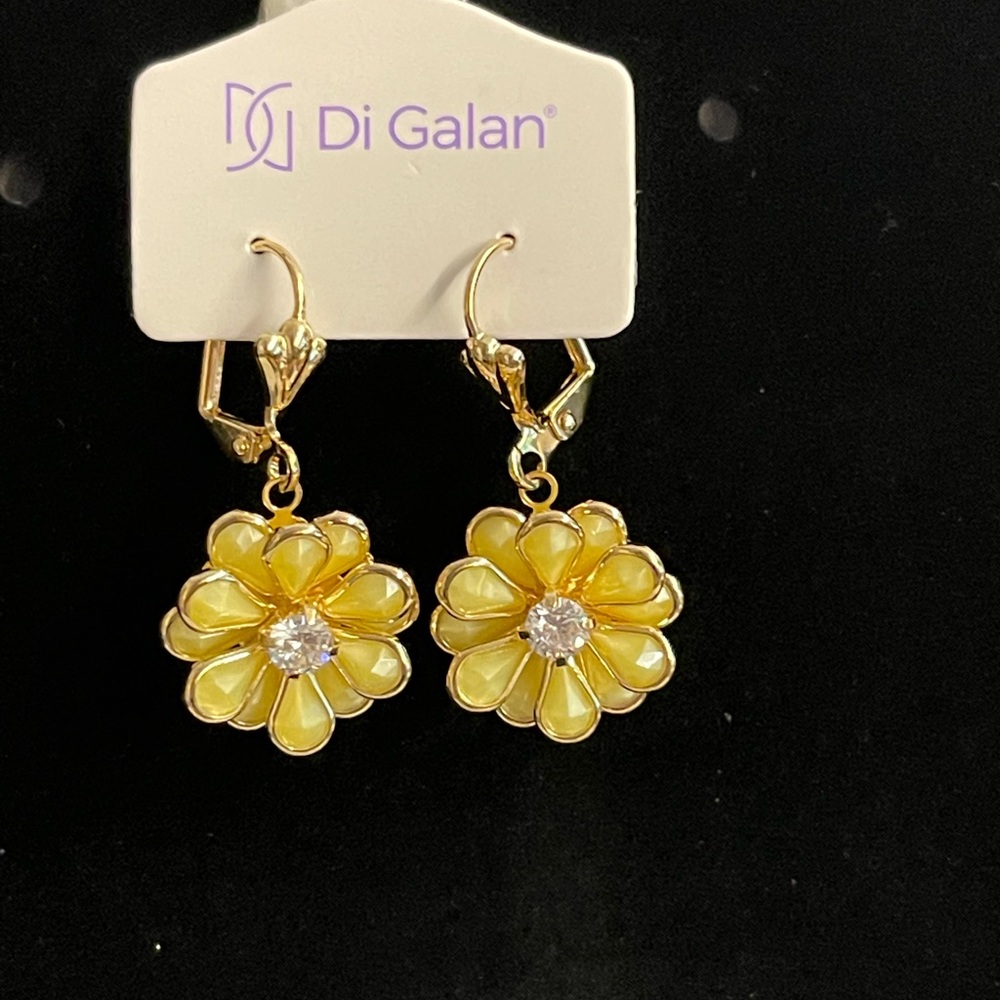 Brand New Di Galan Earrings